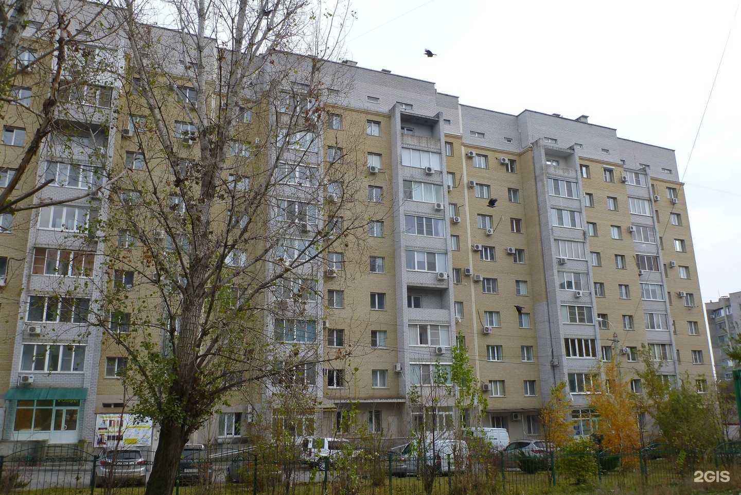 Отзывы на компанию Волгоградский институт практической психологии в Волгограде c фото - фотография 2 из 2