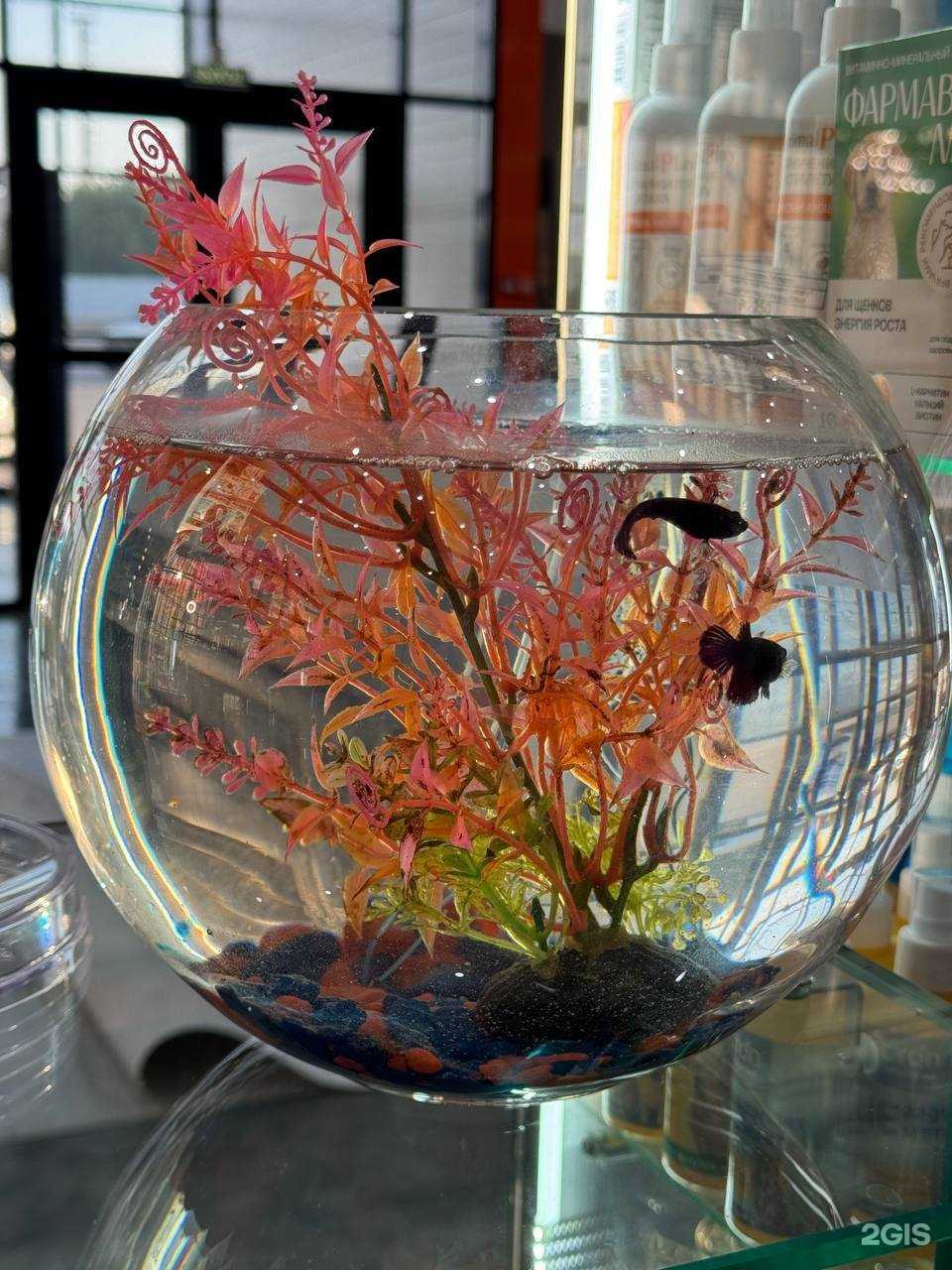 Отзывы на компанию Лабрадор в г. Стерлитамак c фото