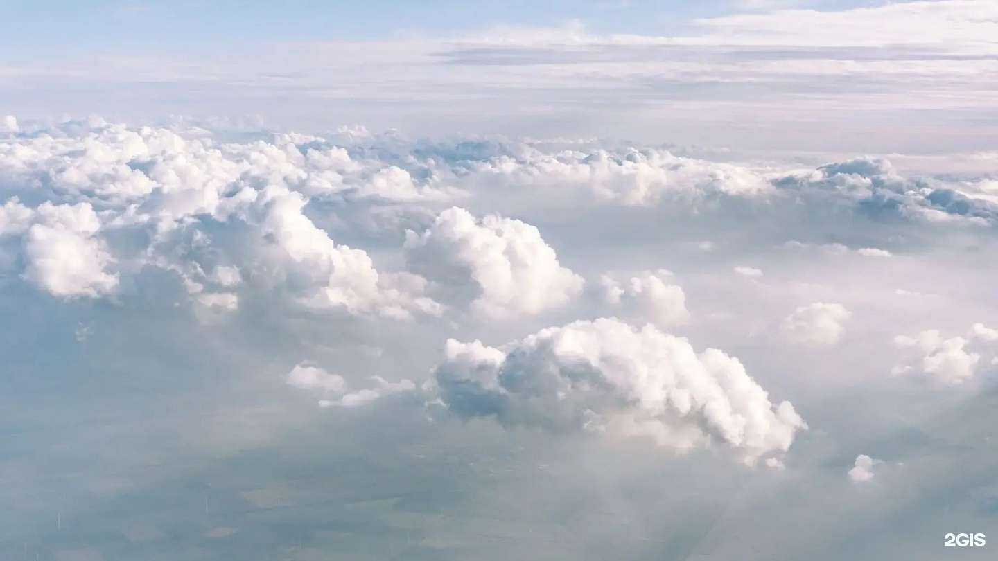 Отзывы на компанию Центр умного фитнеса в г. Новосибирск c фото