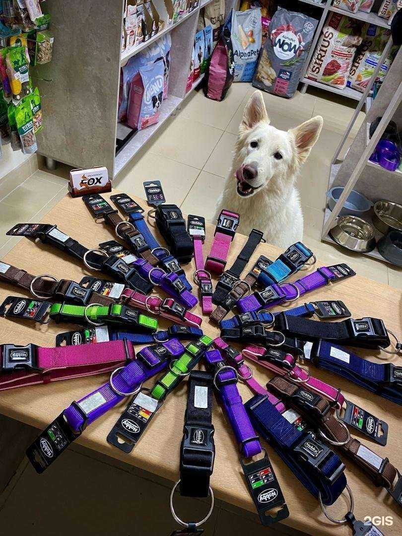 Отзывы на компанию Fox в г. Саранск c фото