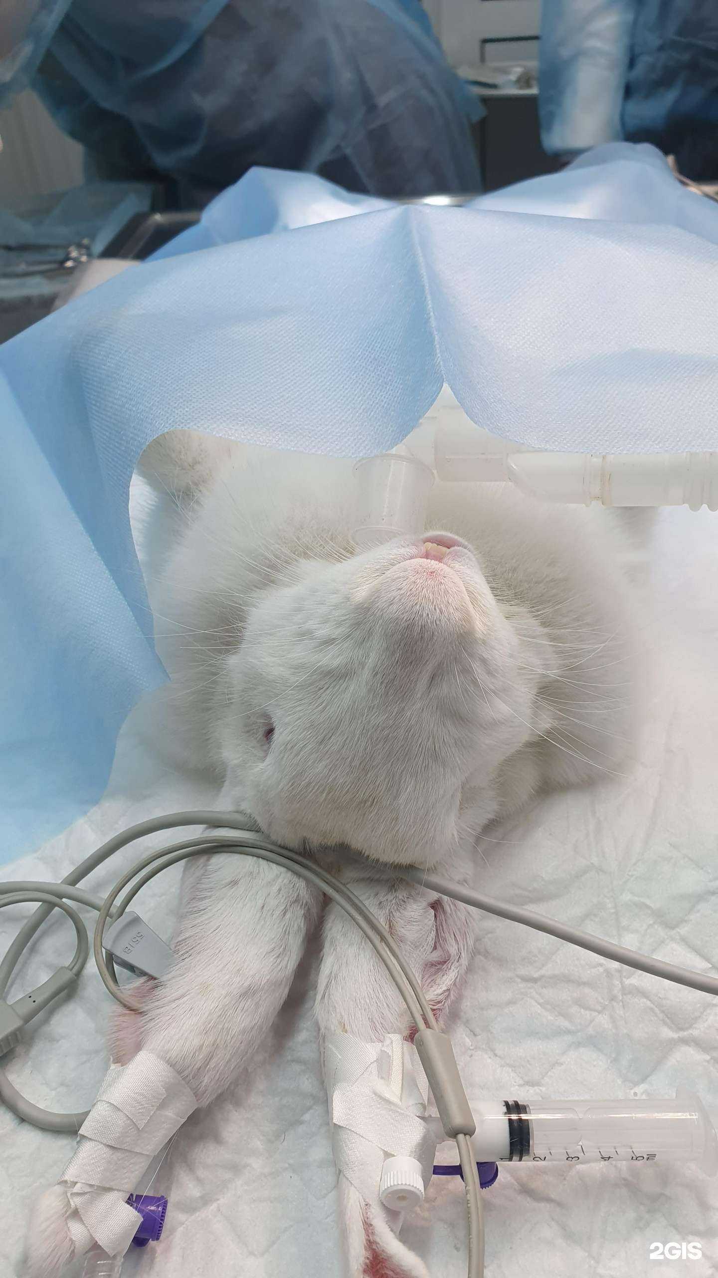 Отзывы на компанию Саламандра в Краснодаре c фото