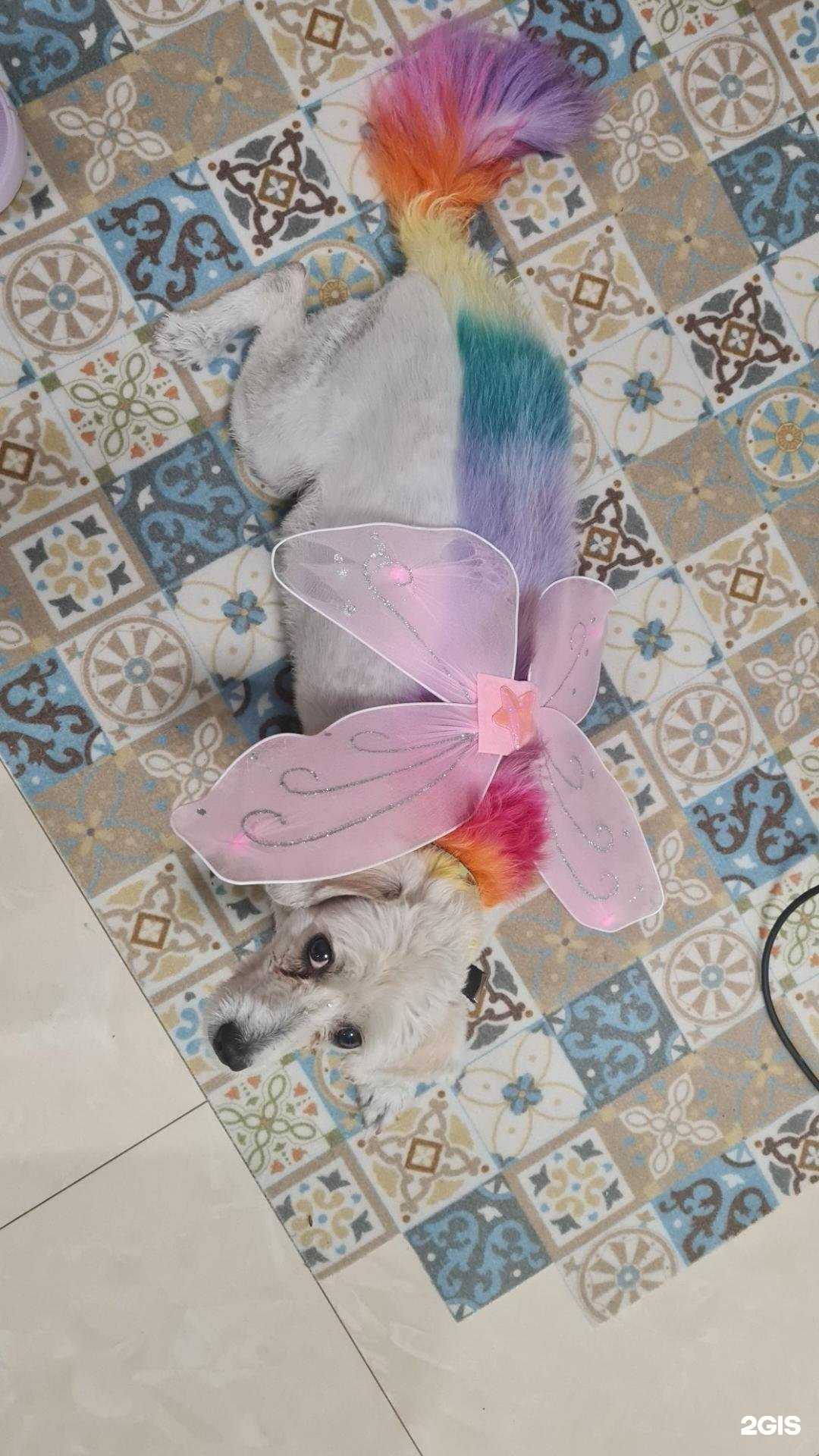 Отзывы на компанию Яфg в Тольятти c фото