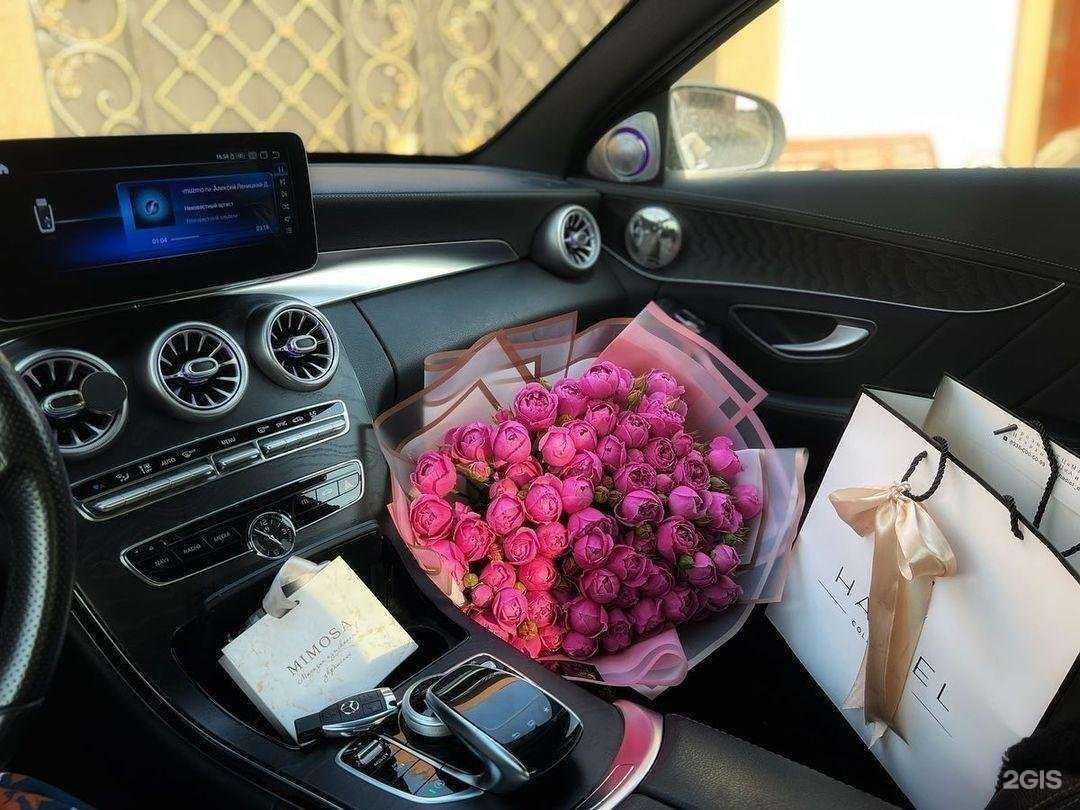 Отзывы на компанию Estella в г. Грозный c фото