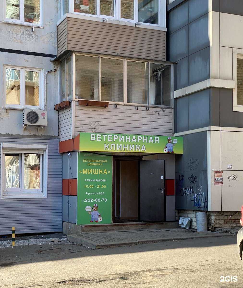 Отзывы на компанию Мишка в Владивостоке c фото