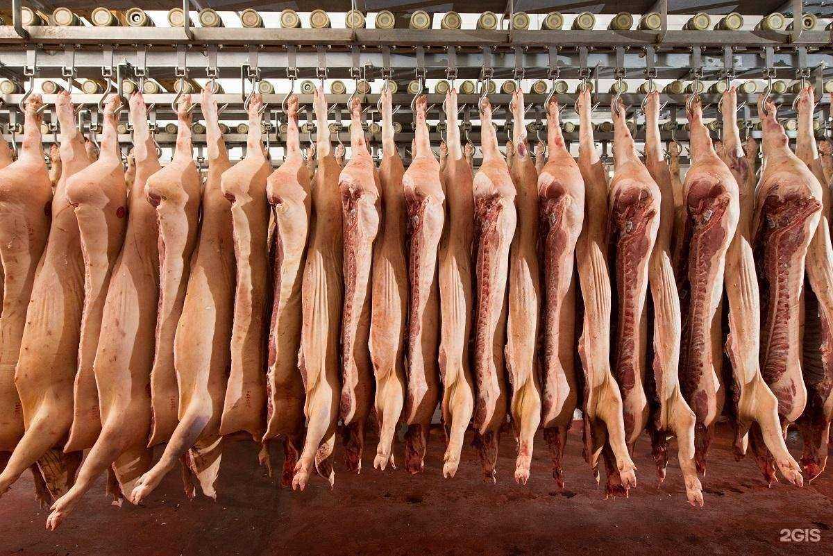 Отзывы на компанию Белгородский свинокомплекс в г. Старый Оскол c фото