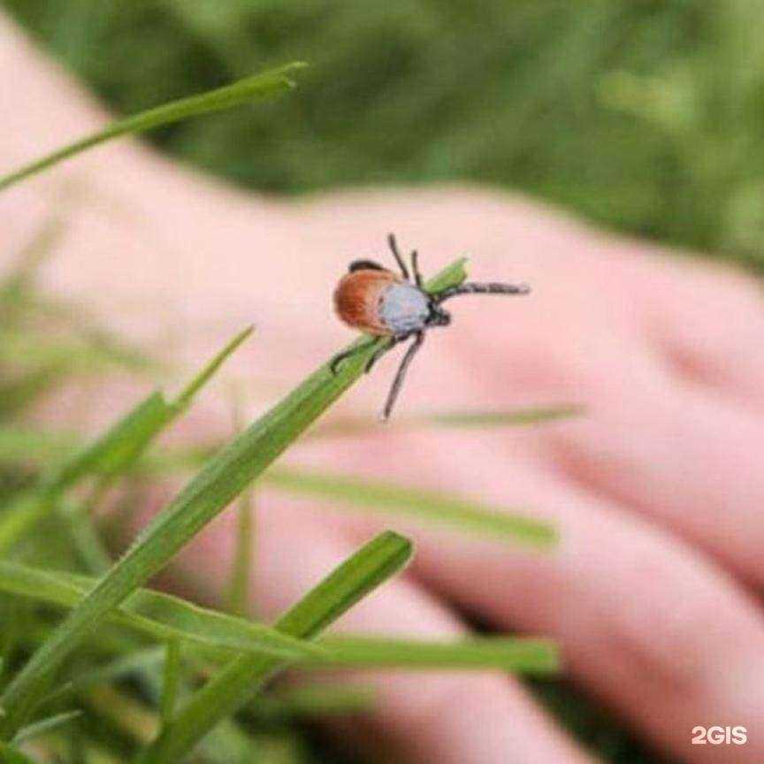 Отзывы на компанию Аско в г. Чебаркуль c фото