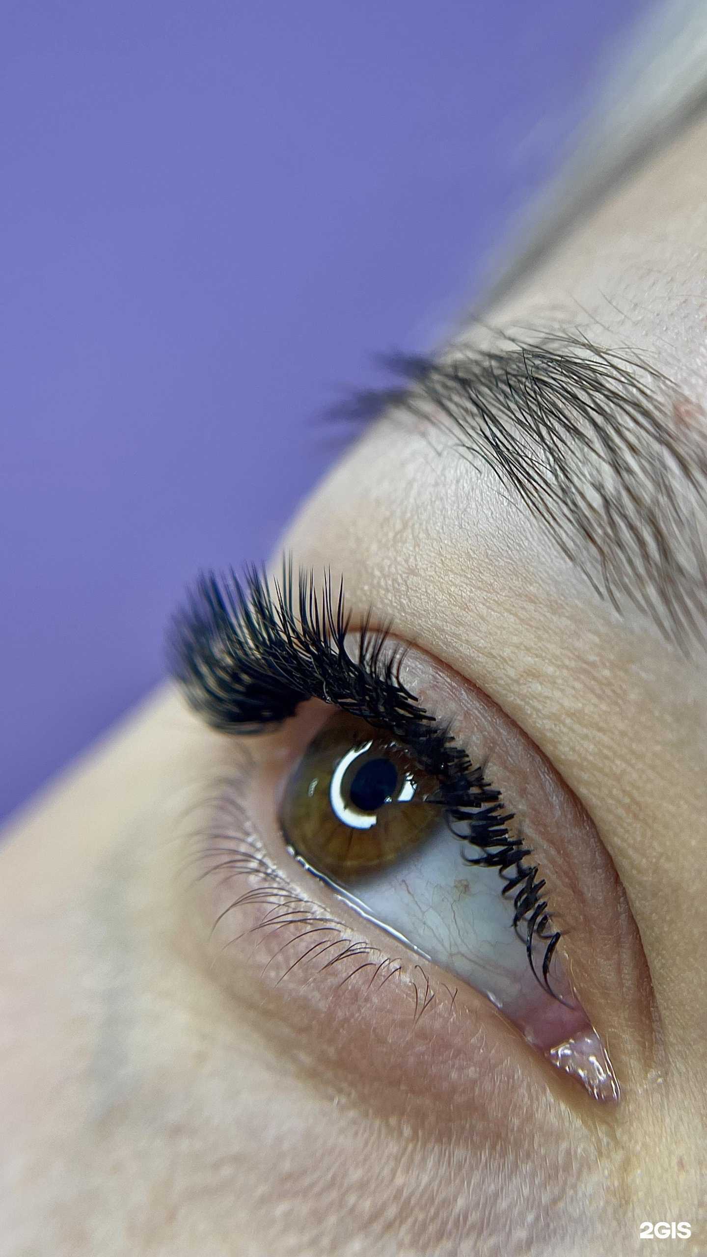 Отзывы на компанию Lashhouse_polli в Ижевске c фото