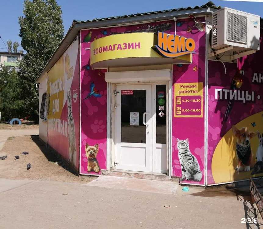 Отзывы на компанию Немо в г. Камышин c фото