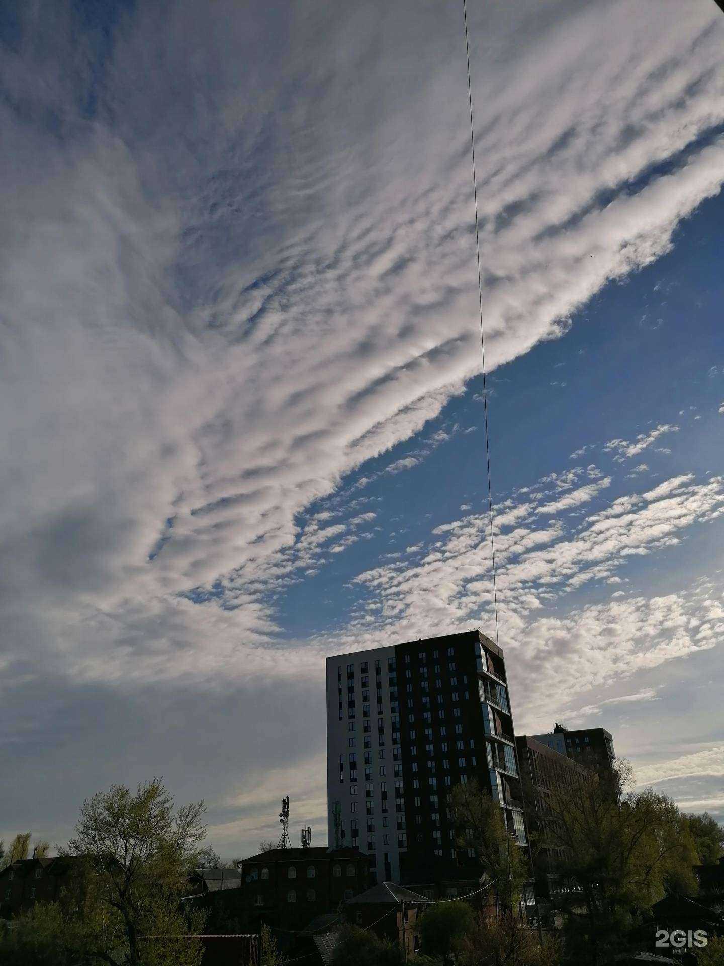 Отзывы на компанию Гомбрайх в Иркутске c фото - фотография 2 из 2