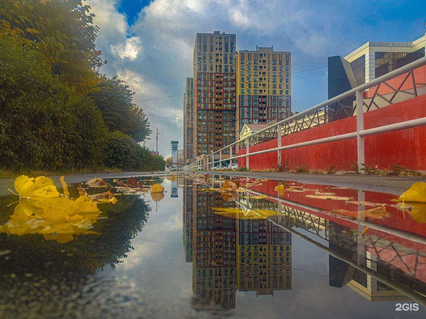 Отзывы на компанию Салют в Ставрополе c фото