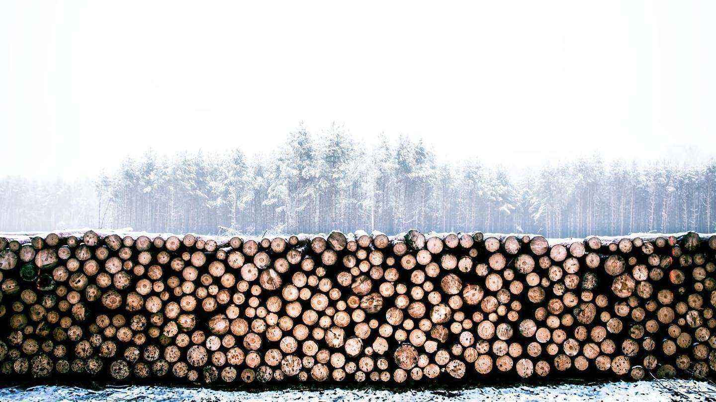 Отзывы на компанию Сельхозсервис в г. Барнаул c фото