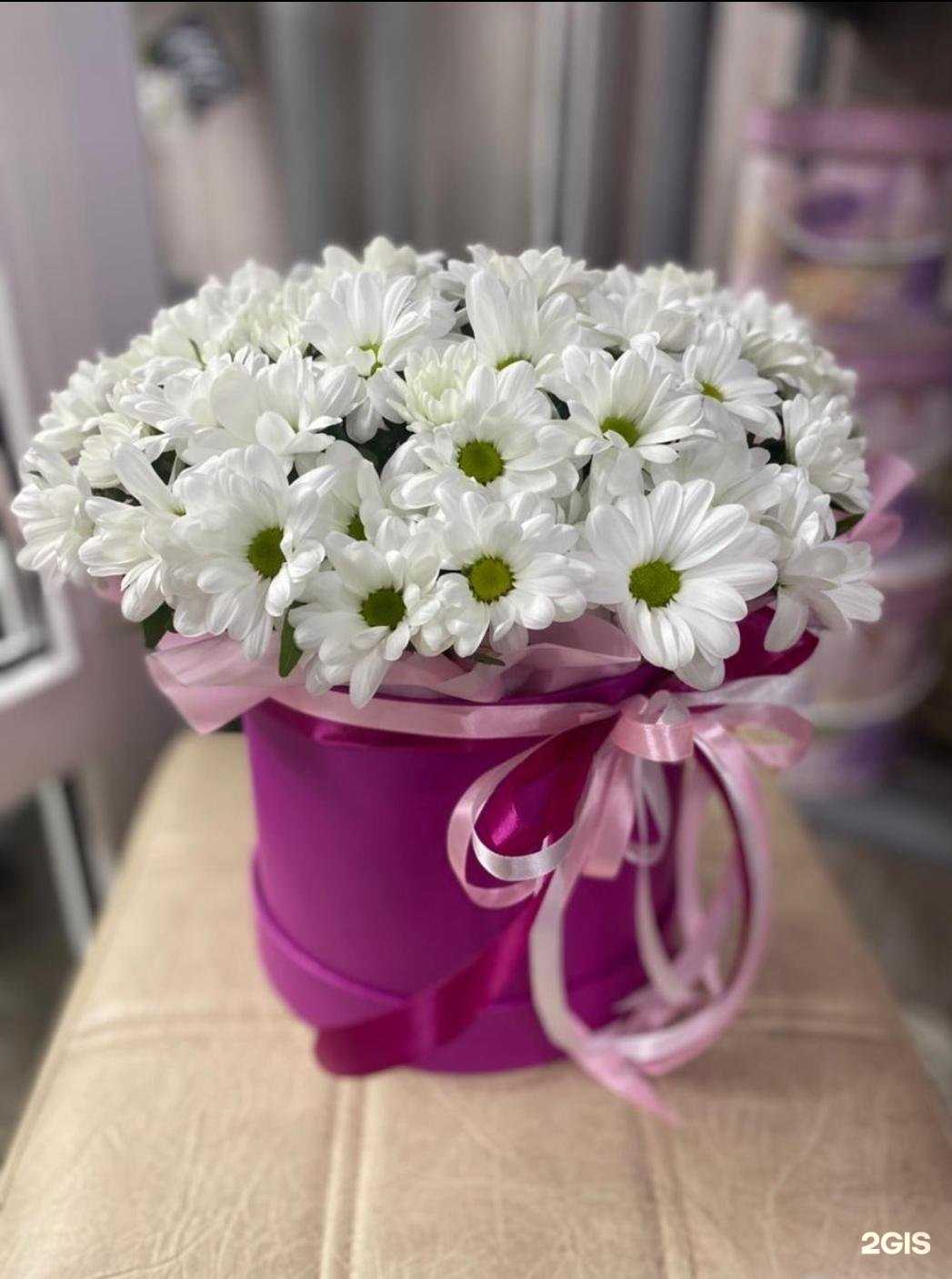 Отзывы на компанию Зеленый в г. Челябинск c фото