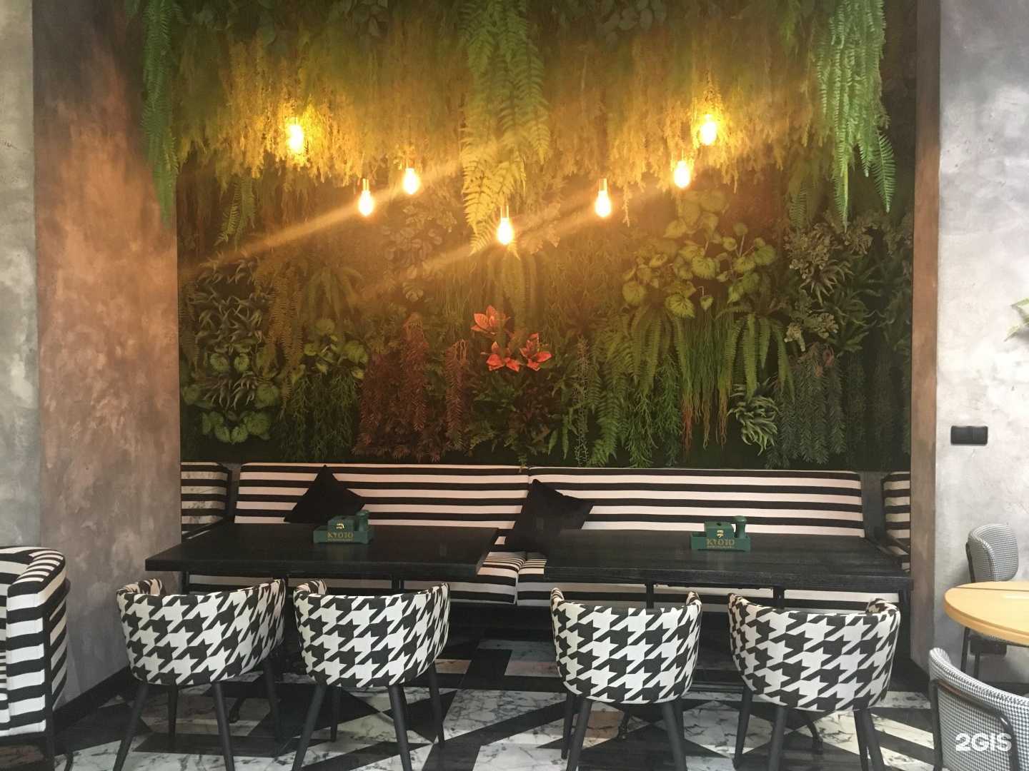 Отзывы на компанию KYOTO в г. Грозный c фото