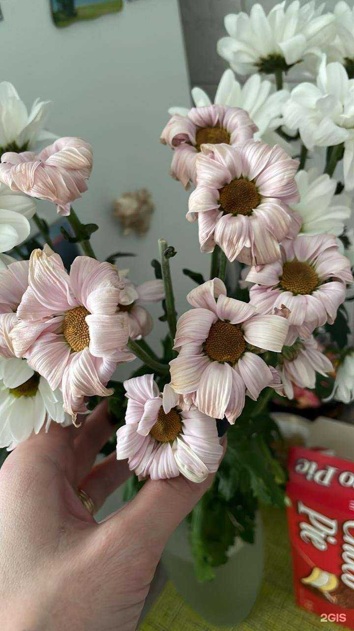 Отзывы на компанию Росцветторг в Кемерове c фото