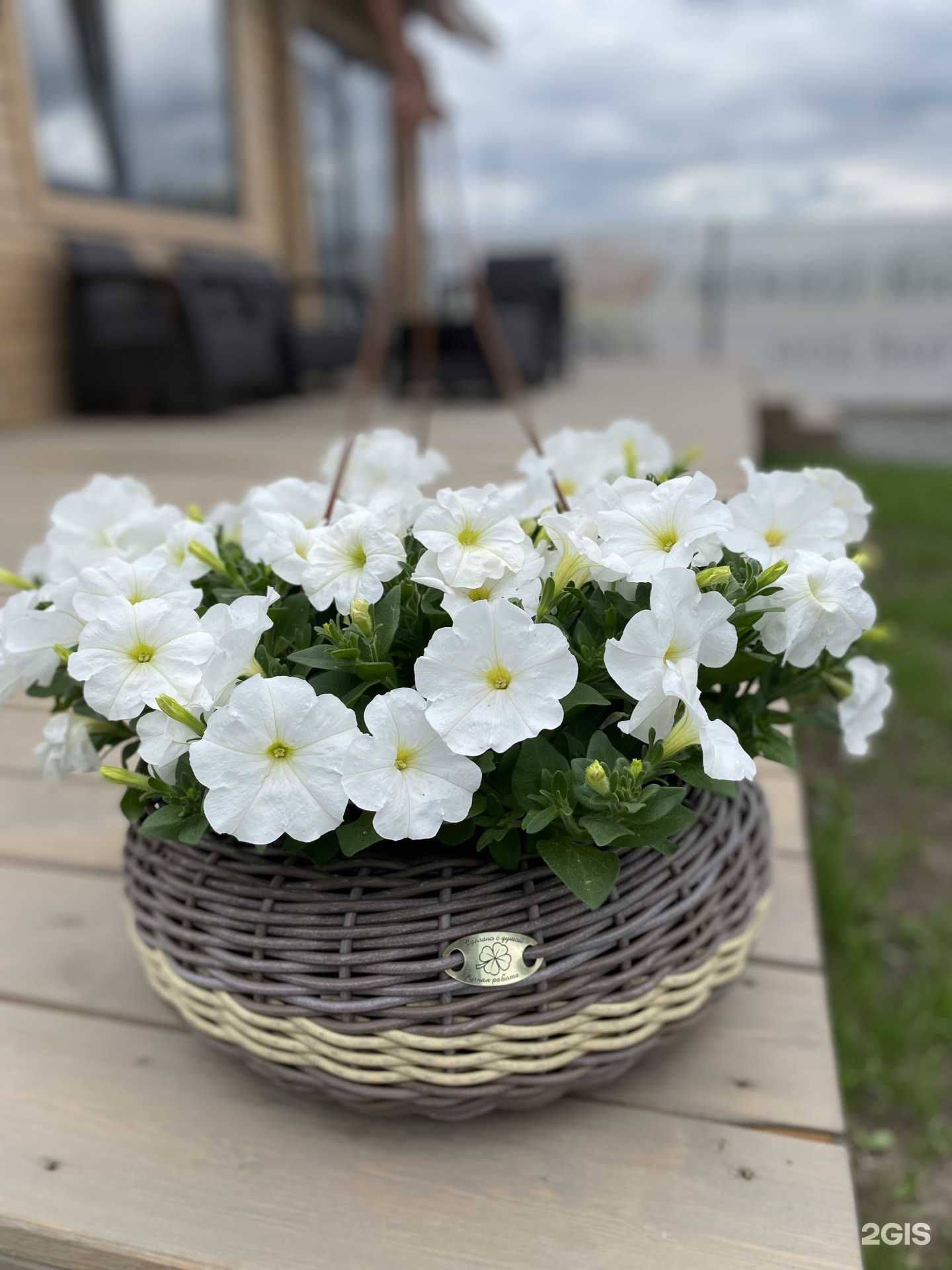 Отзывы на компанию Зеленый Дом в Кемерове c фото