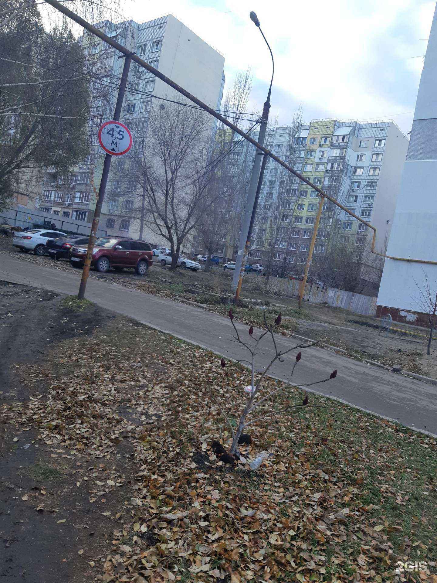 Отзывы на компанию Питьевая вода в Самаре c фото - фотография 2 из 2