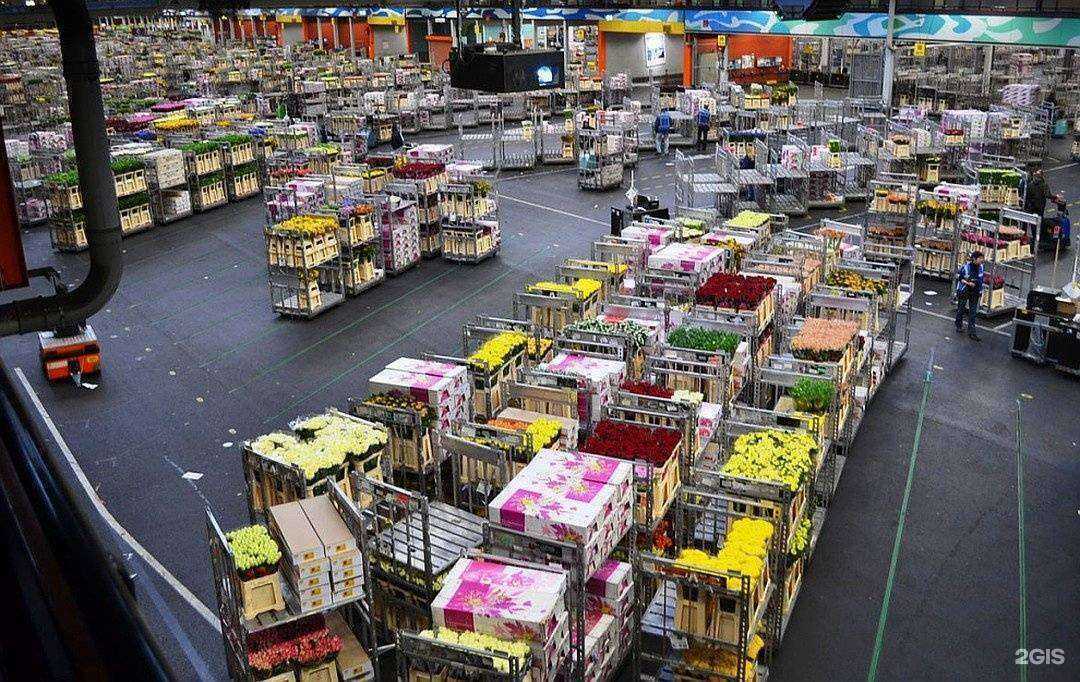 Отзывы на компанию ЦветыОптТорг в Красноярске c фото