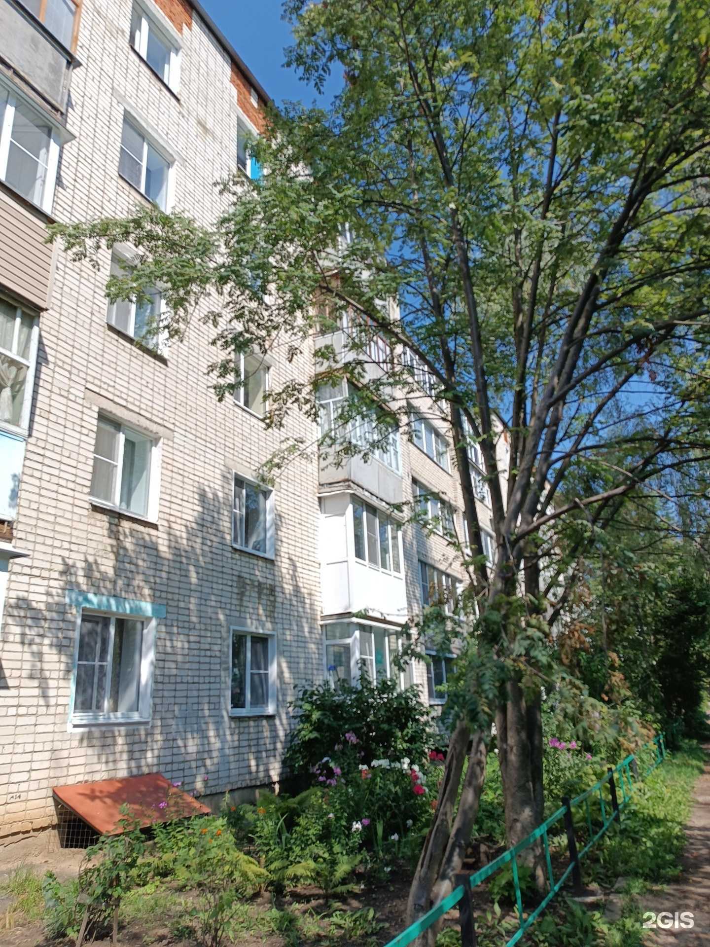 Отзывы на компанию Здоровая семья в Арзамасе c фото - фотография 2 из 2