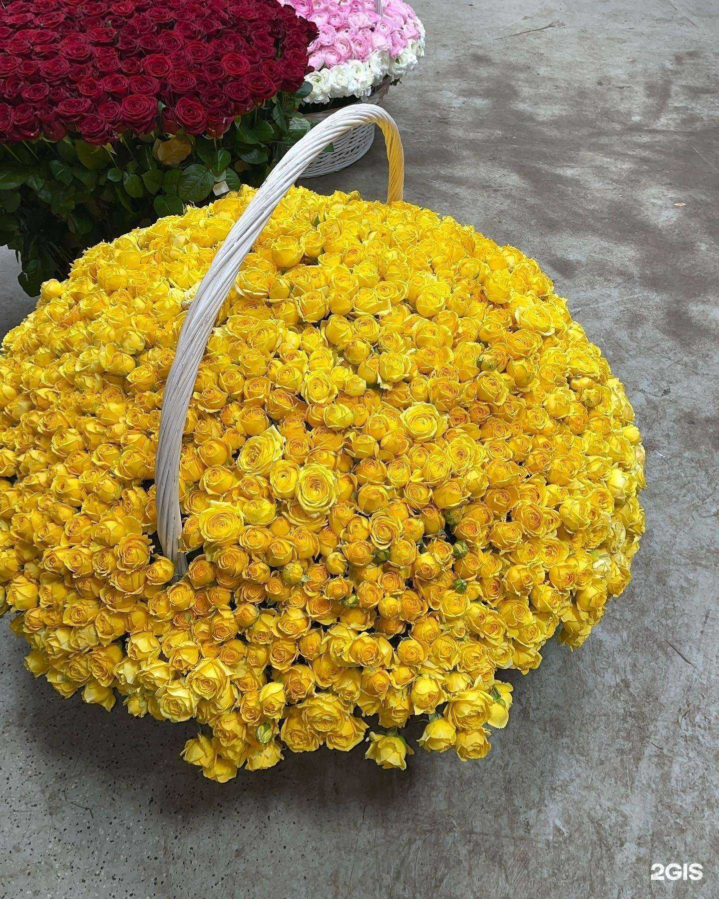 Отзывы на компанию Цвет`Ок в Махачкале c фото