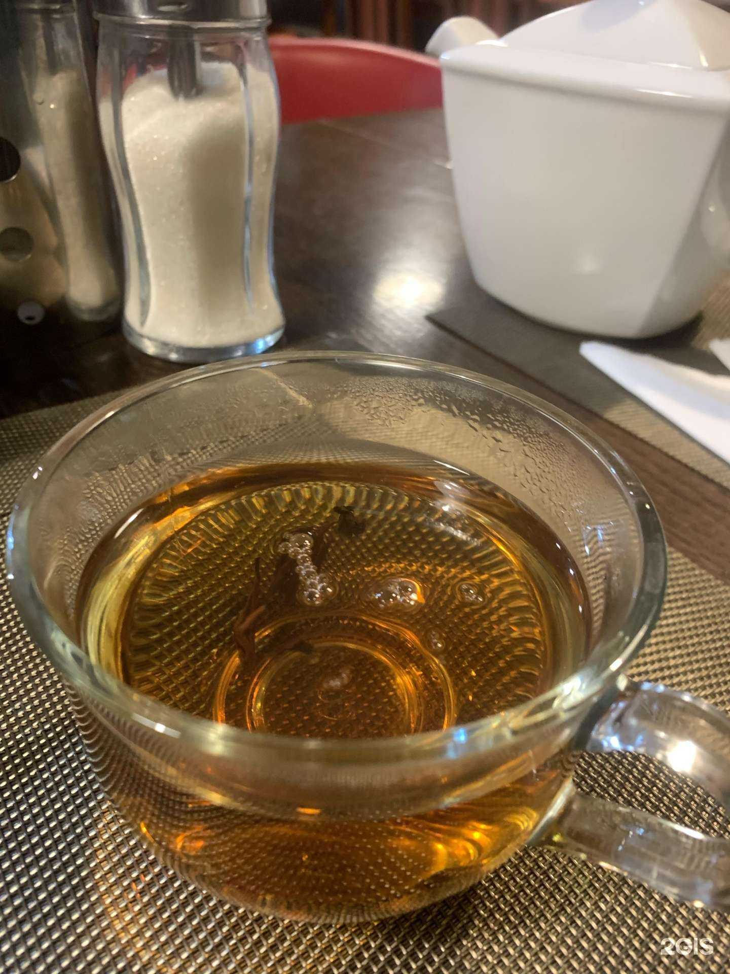 Отзывы на компанию Дельфин в Светлом c фото