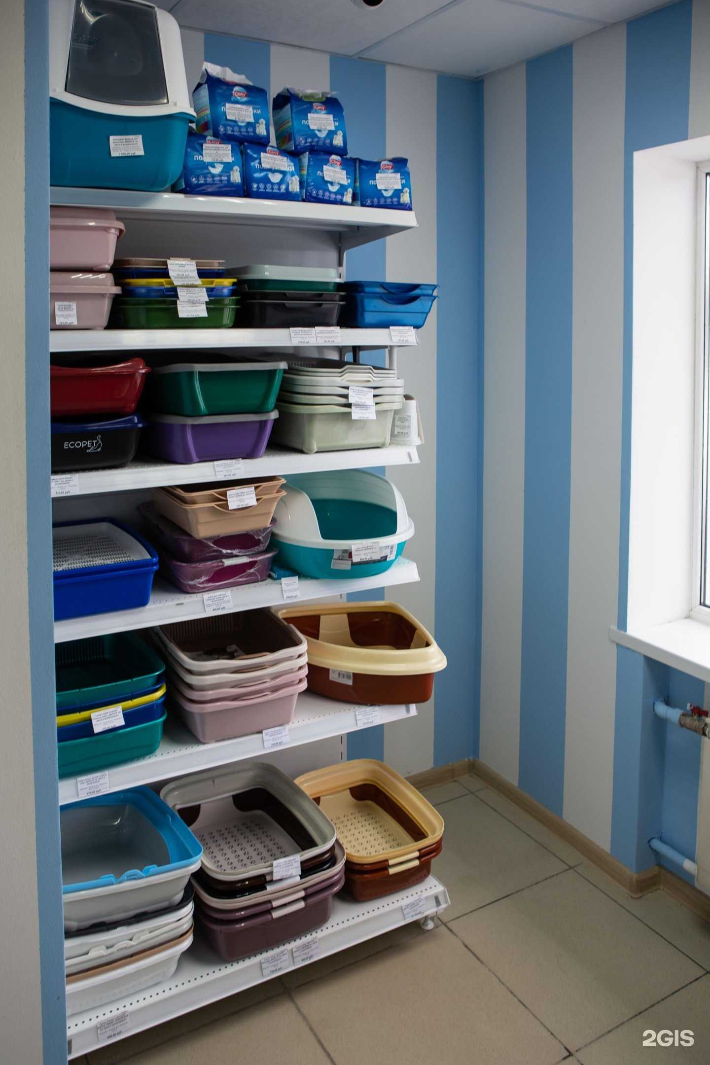 Отзывы на компанию Две собаки в г. Воронеж c фото