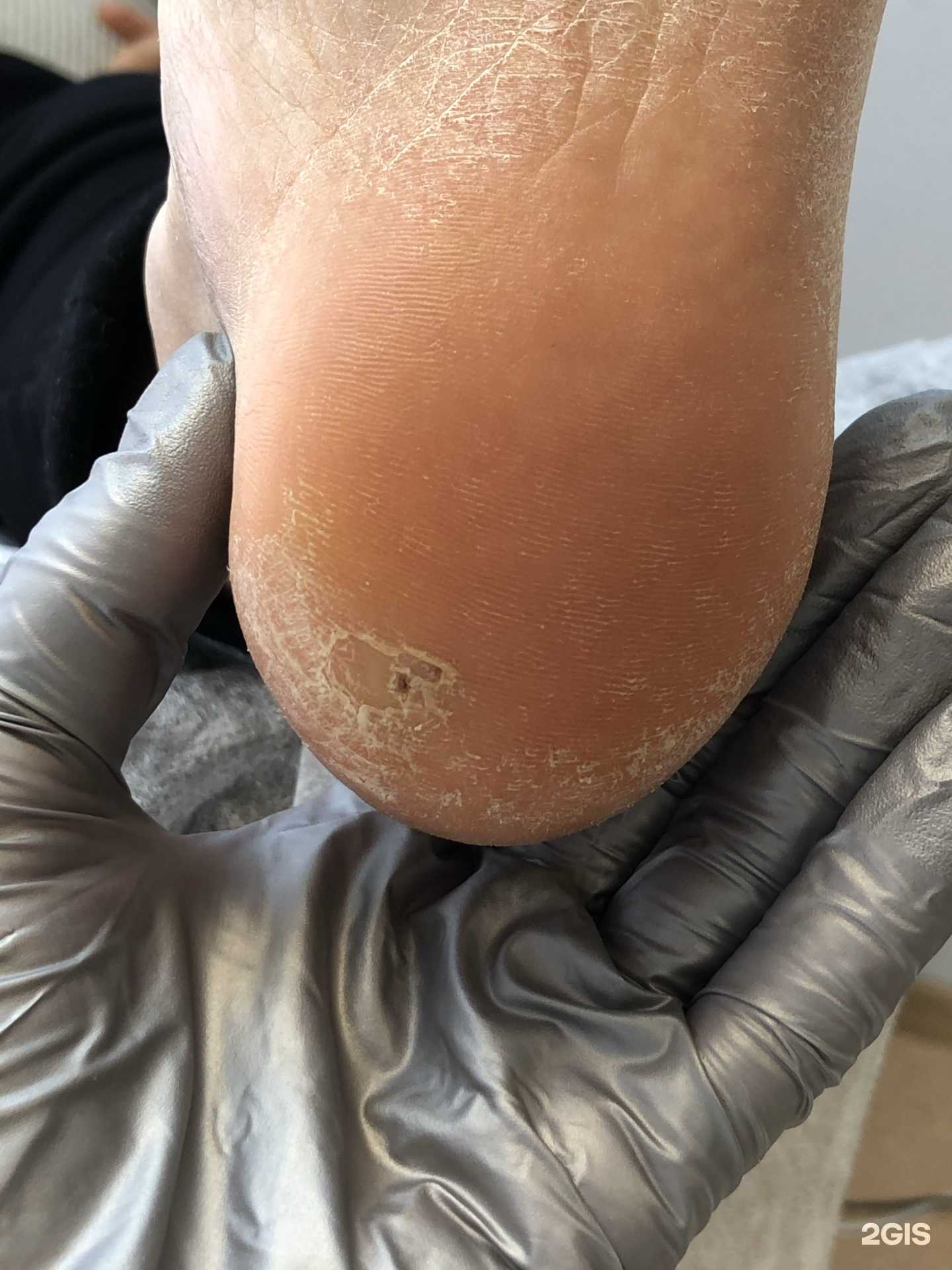 Отзывы на компанию В Добрые Руки в г. Петропавловск-Камчатский c фото