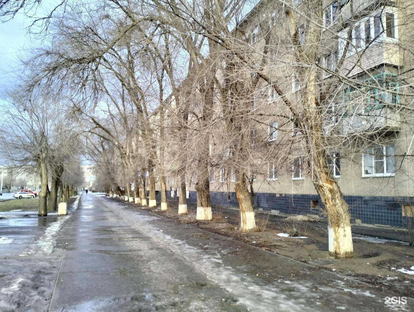 Отзывы на компанию Бутик букет в Волжском c фото - фотография 2 из 2