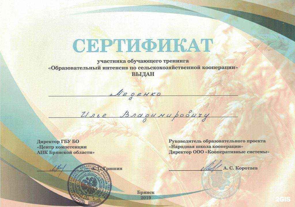 Отзывы на компанию Medenko Group в Брянске c фото