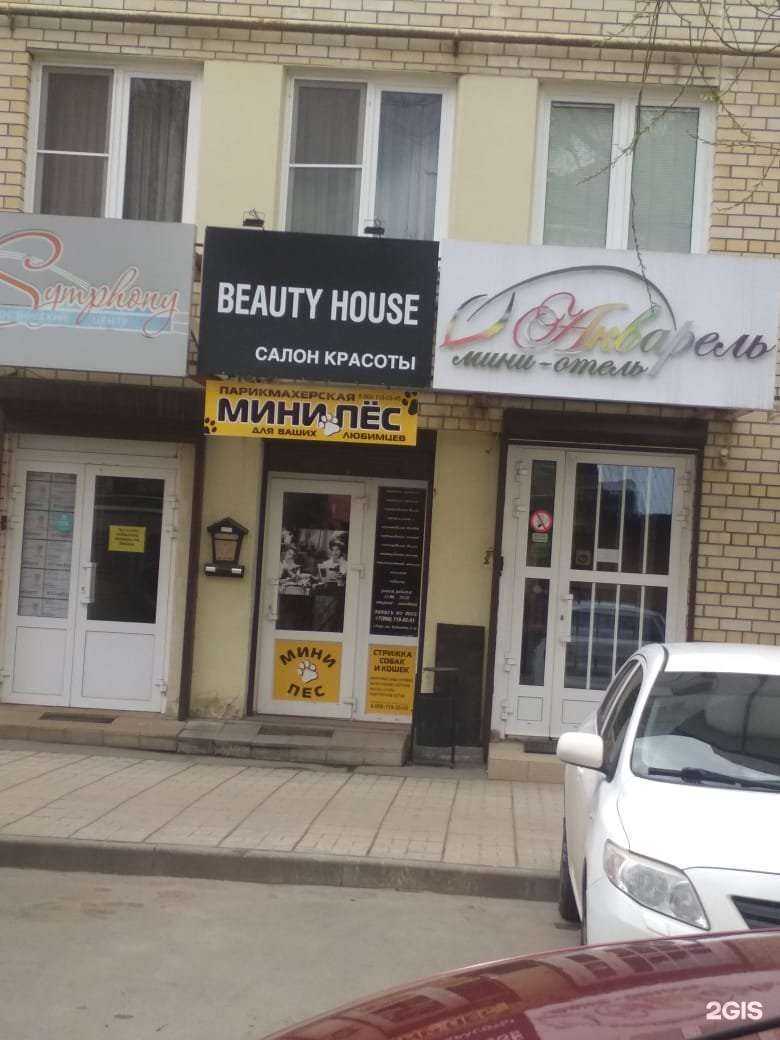 Отзывы на компанию Мини пёс в г. Тверь c фото