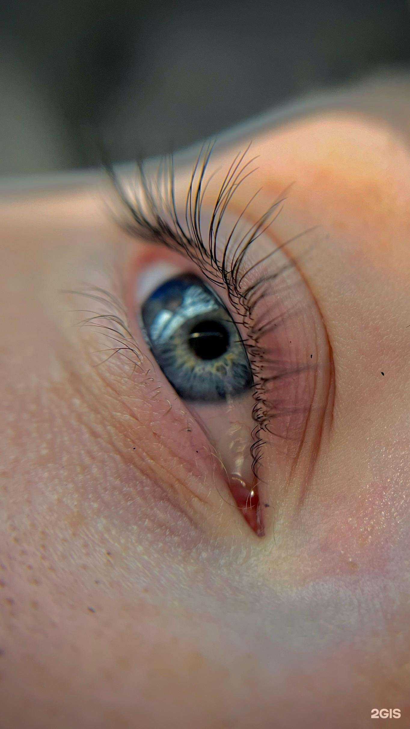 Отзывы на компанию Oxoxo в Ставрополе c фото