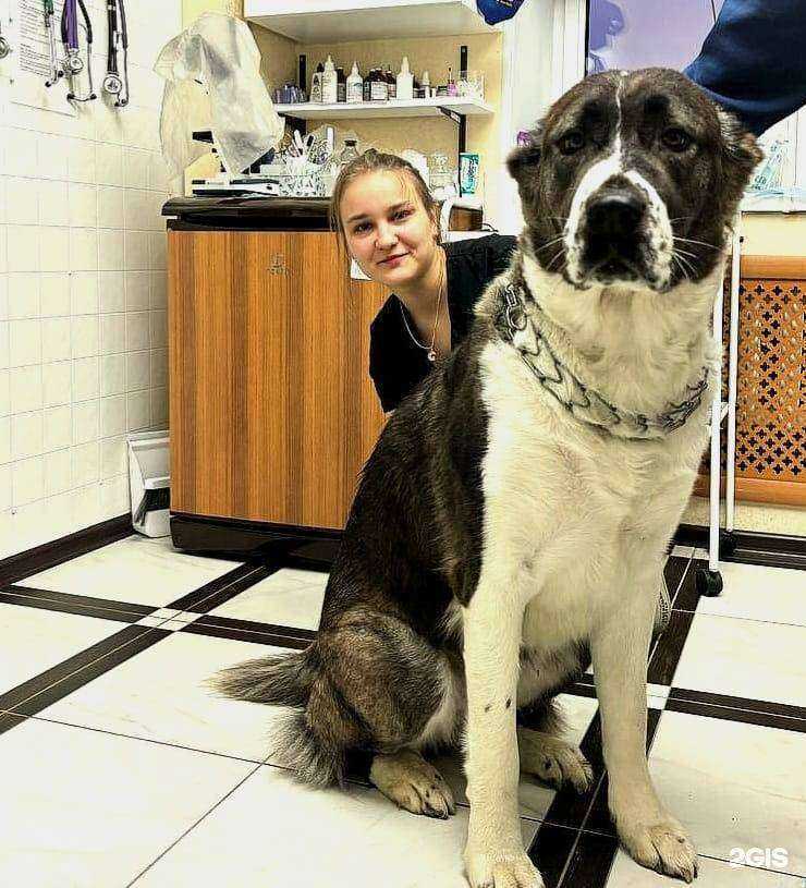 Отзывы на компанию Анна в Подольске c фото