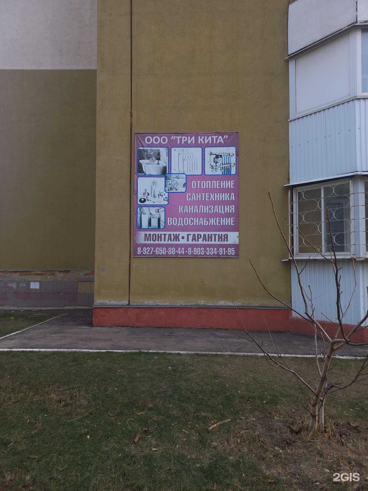 Отзывы на компанию Три Кита в г. Самара c фото