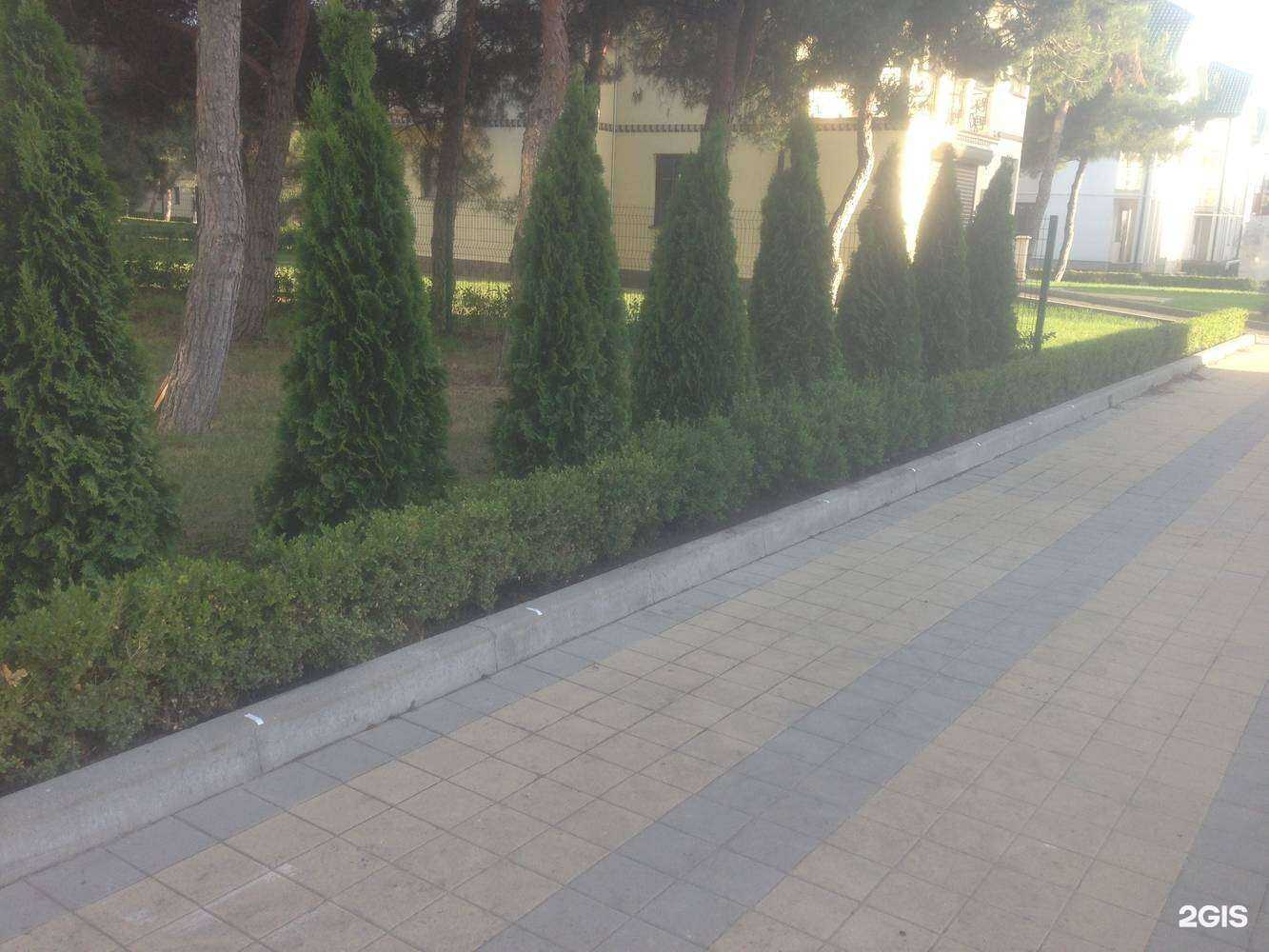 Отзывы на компанию Ландшафт-pro в Геленджике c фото