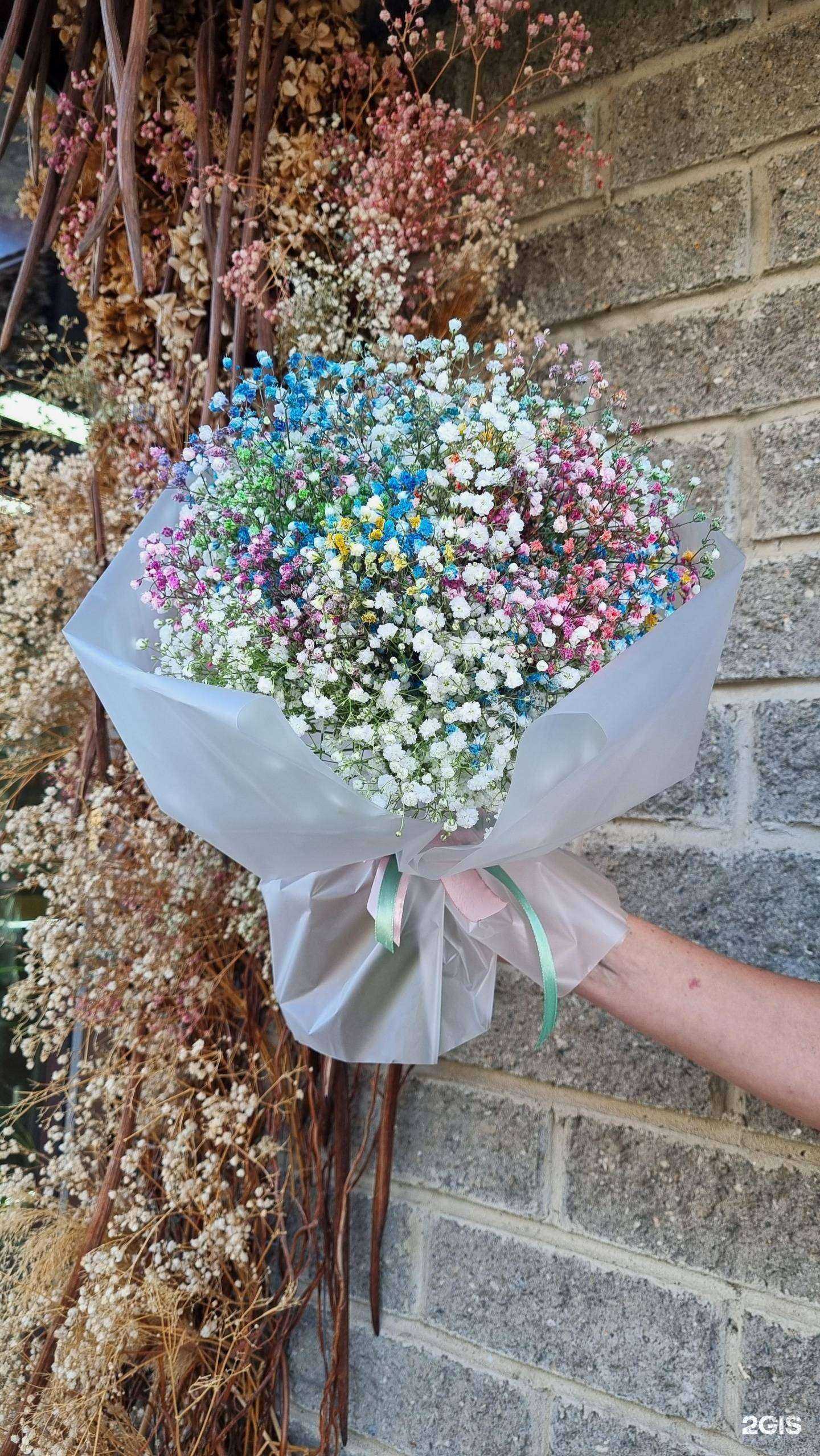 Отзывы на компанию St. Gapika в Ставрополе c фото