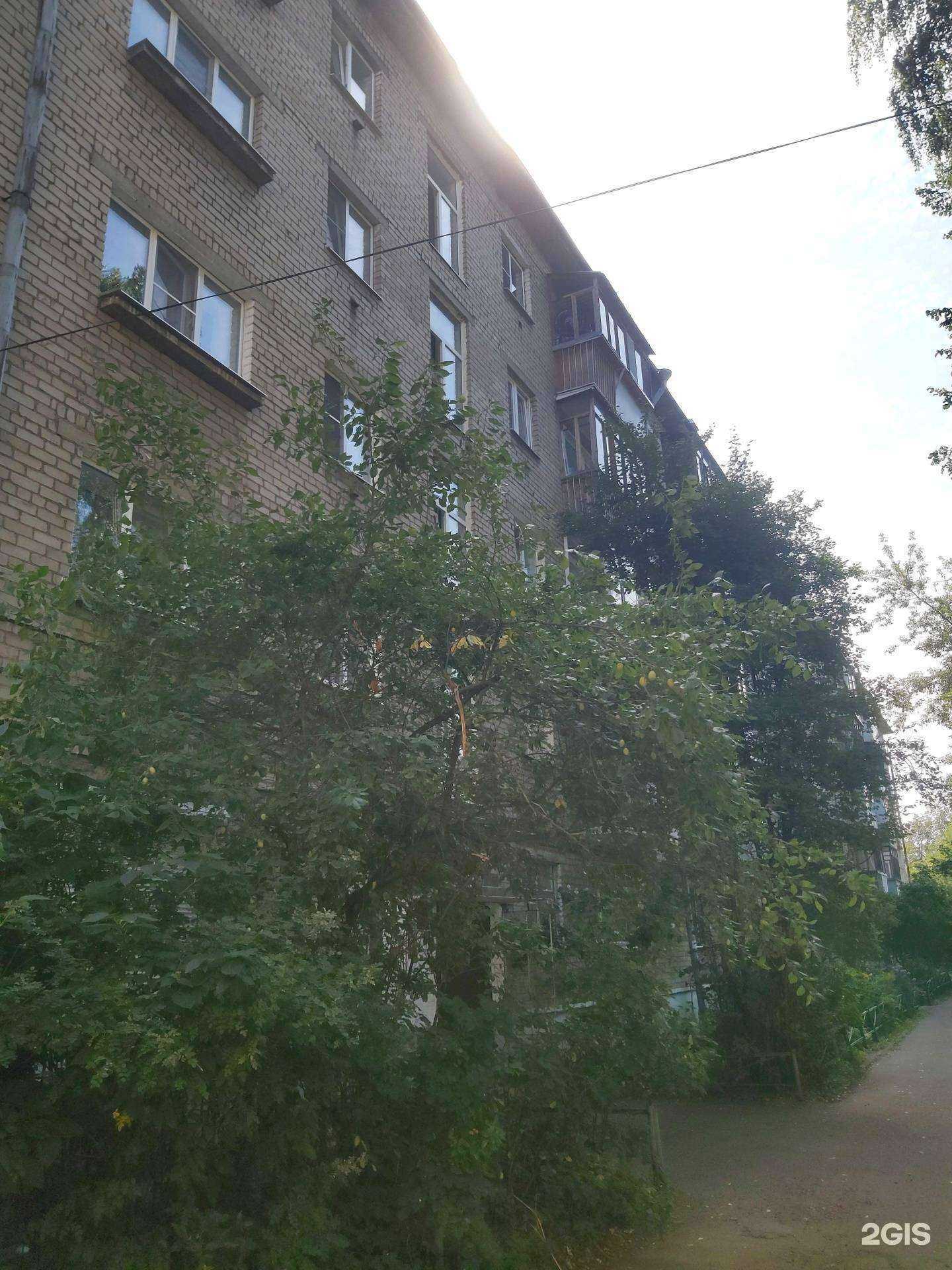 Отзывы на компанию Ananas в Ярославле c фото - фотография 2 из 2