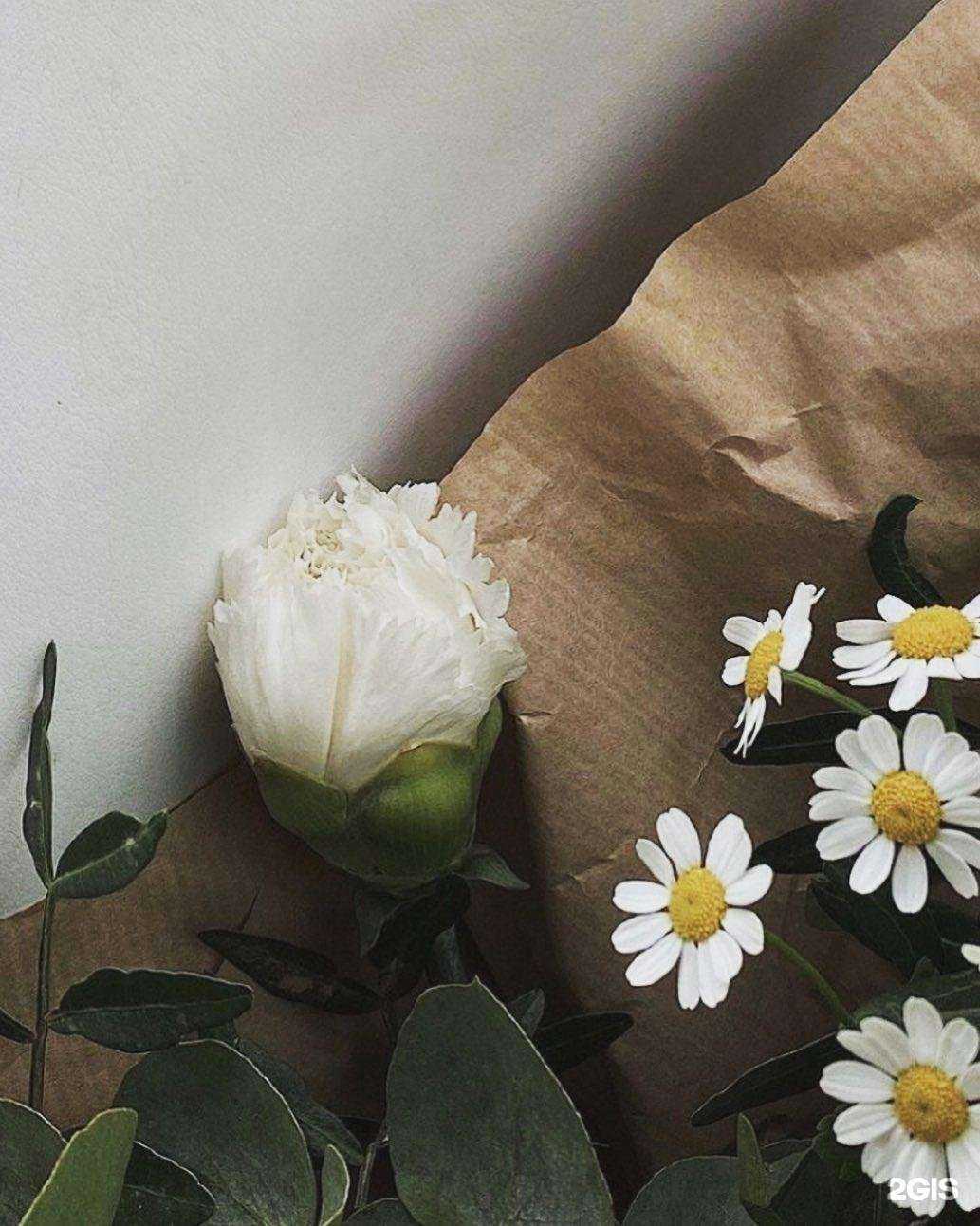 Отзывы на компанию Mila look в Тольятти c фото