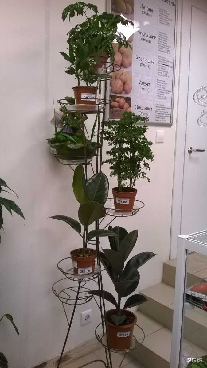 Отзывы на компанию Садовый дворик в г. Новосибирск c фото