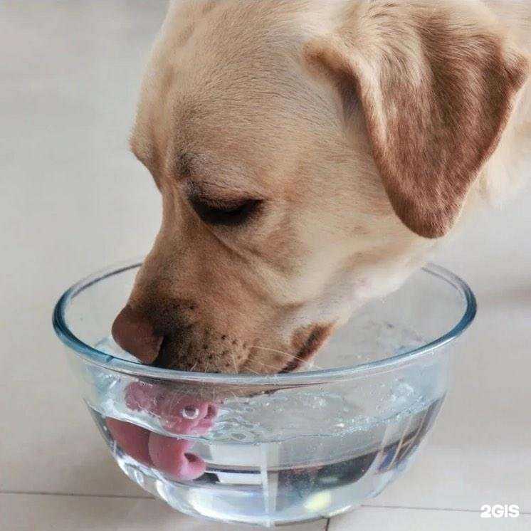 Отзывы на компанию Пальмира в Тольятти c фото