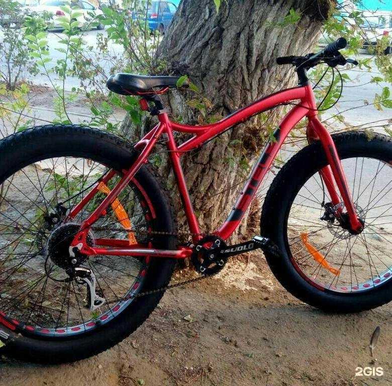 Отзывы на компанию Stels в Тольятти c фото