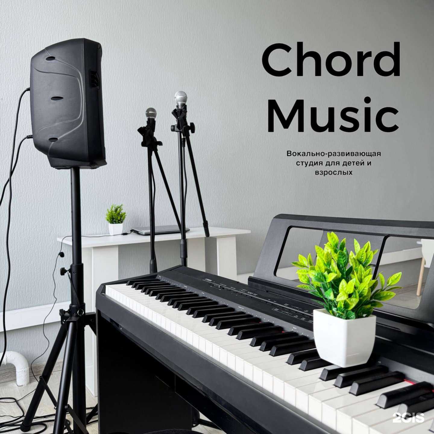 Отзывы на компанию Chord Music в г. Новосибирск c фото