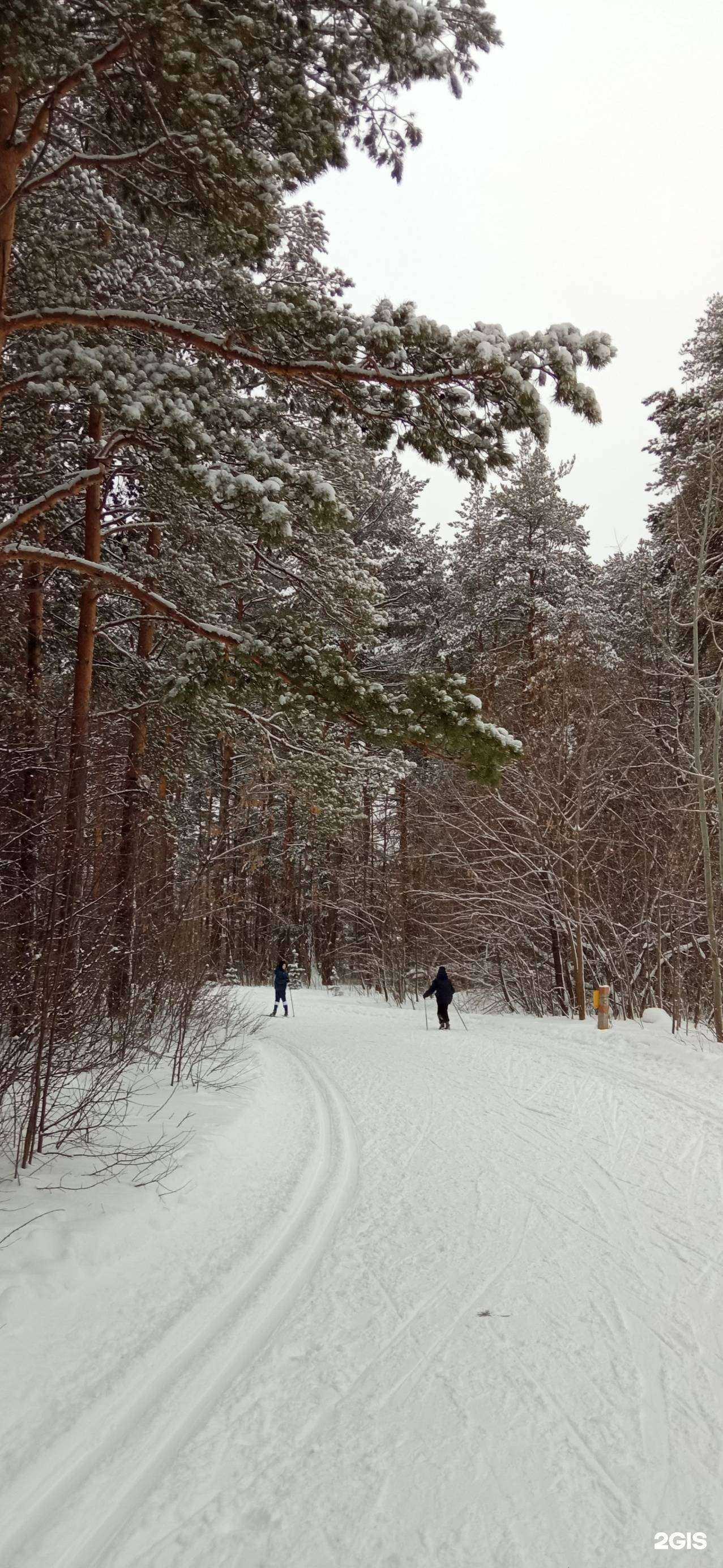 Отзывы на компанию Динамо в Барнауле c фото
