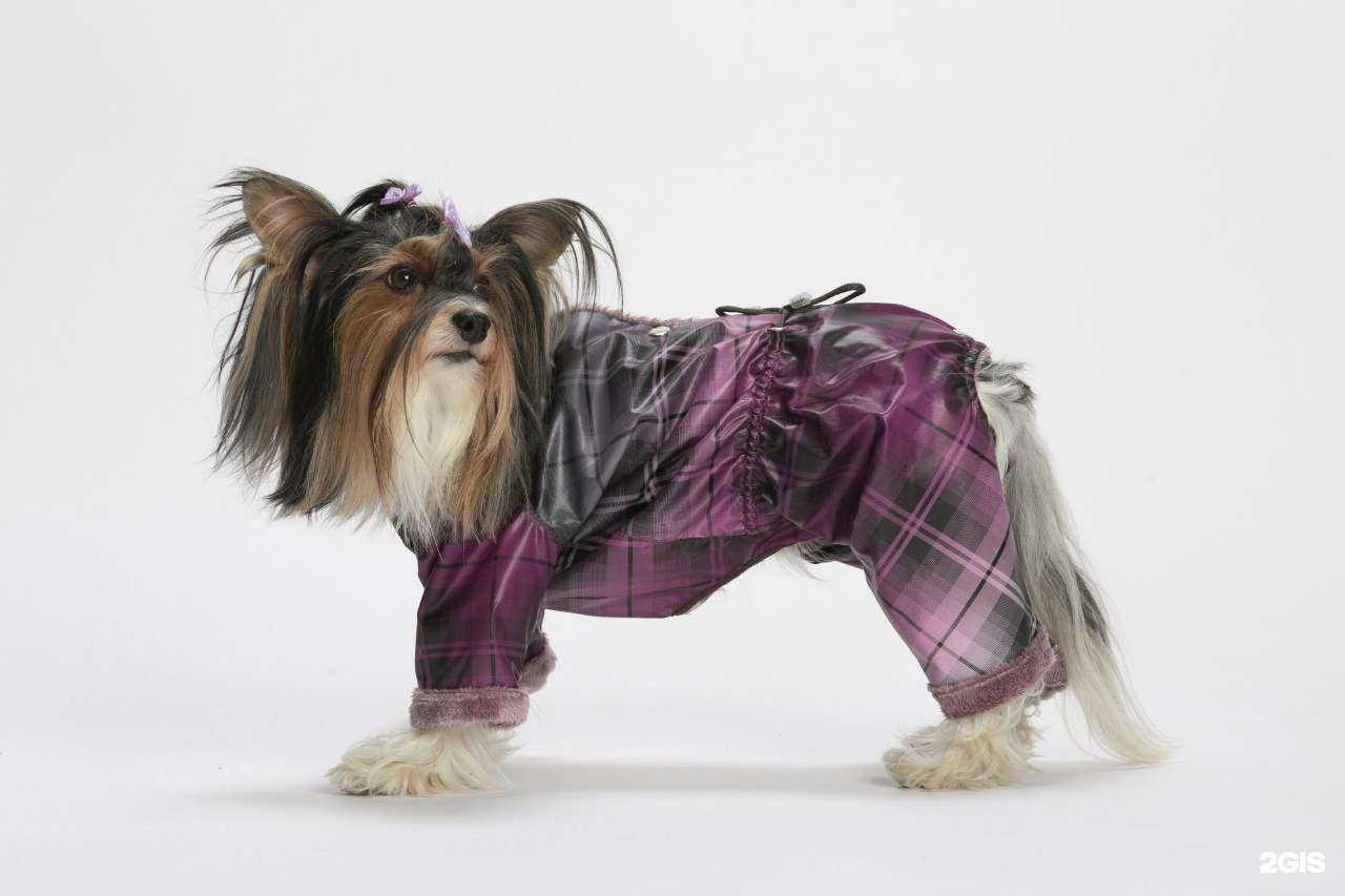 Отзывы на компанию ЗооБум в г. Архангельск c фото