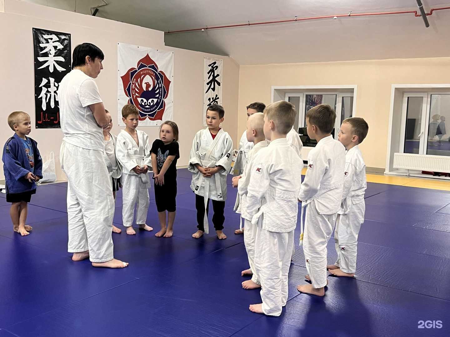 Отзывы на компанию Федерация джиу-джитсу Архангельской области в г. Архангельск c фото