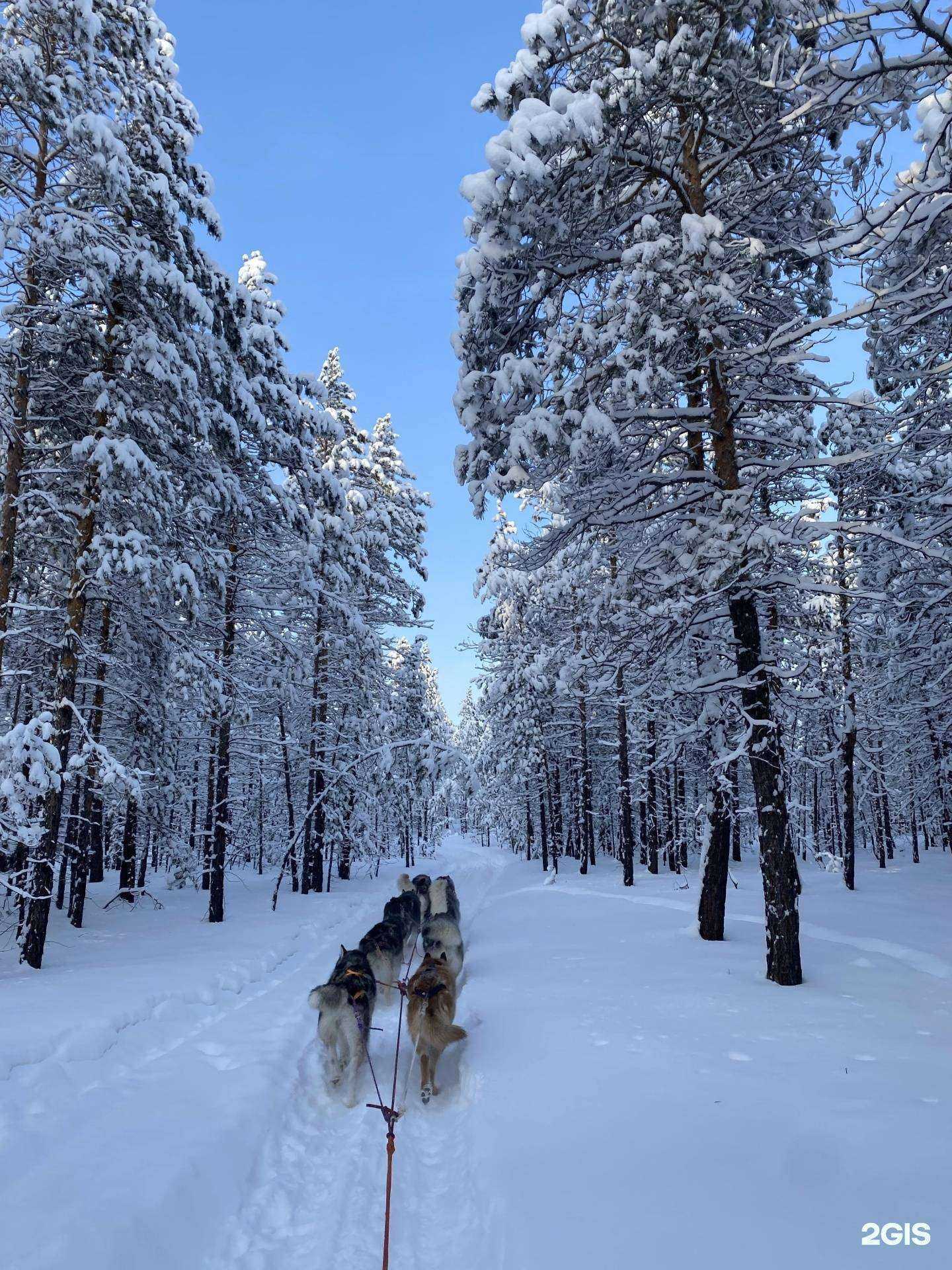 Отзывы на компанию Дьол в г. Якутск c фото