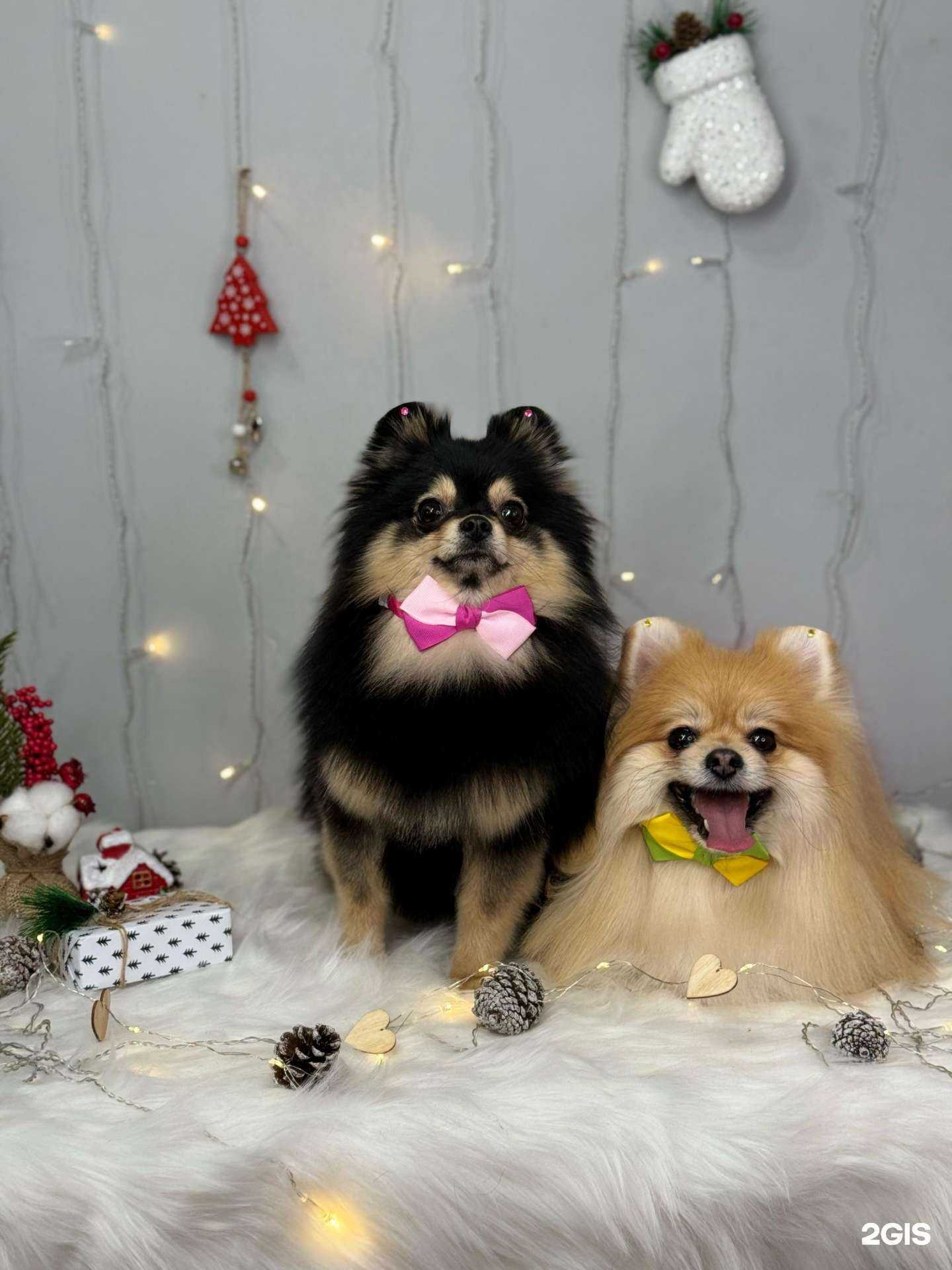 Отзывы на компанию Aniva в Ногинске c фото