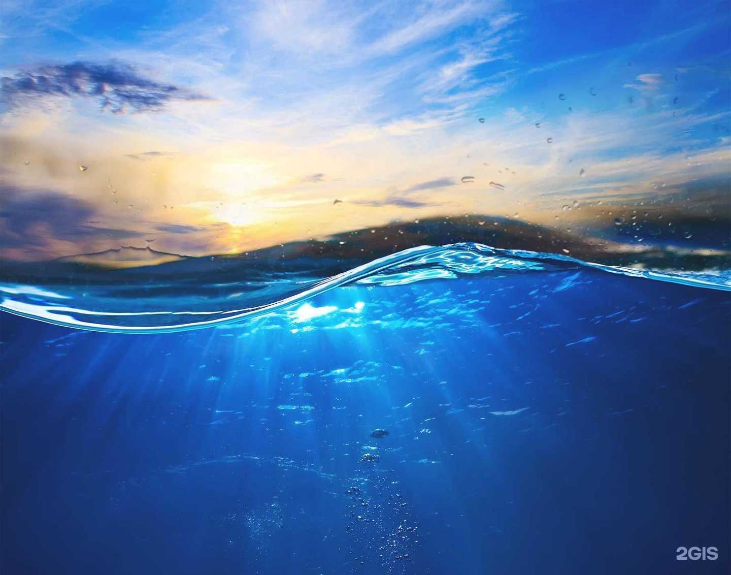 Отзывы на компанию Инь-Ян в Белгороде c фото