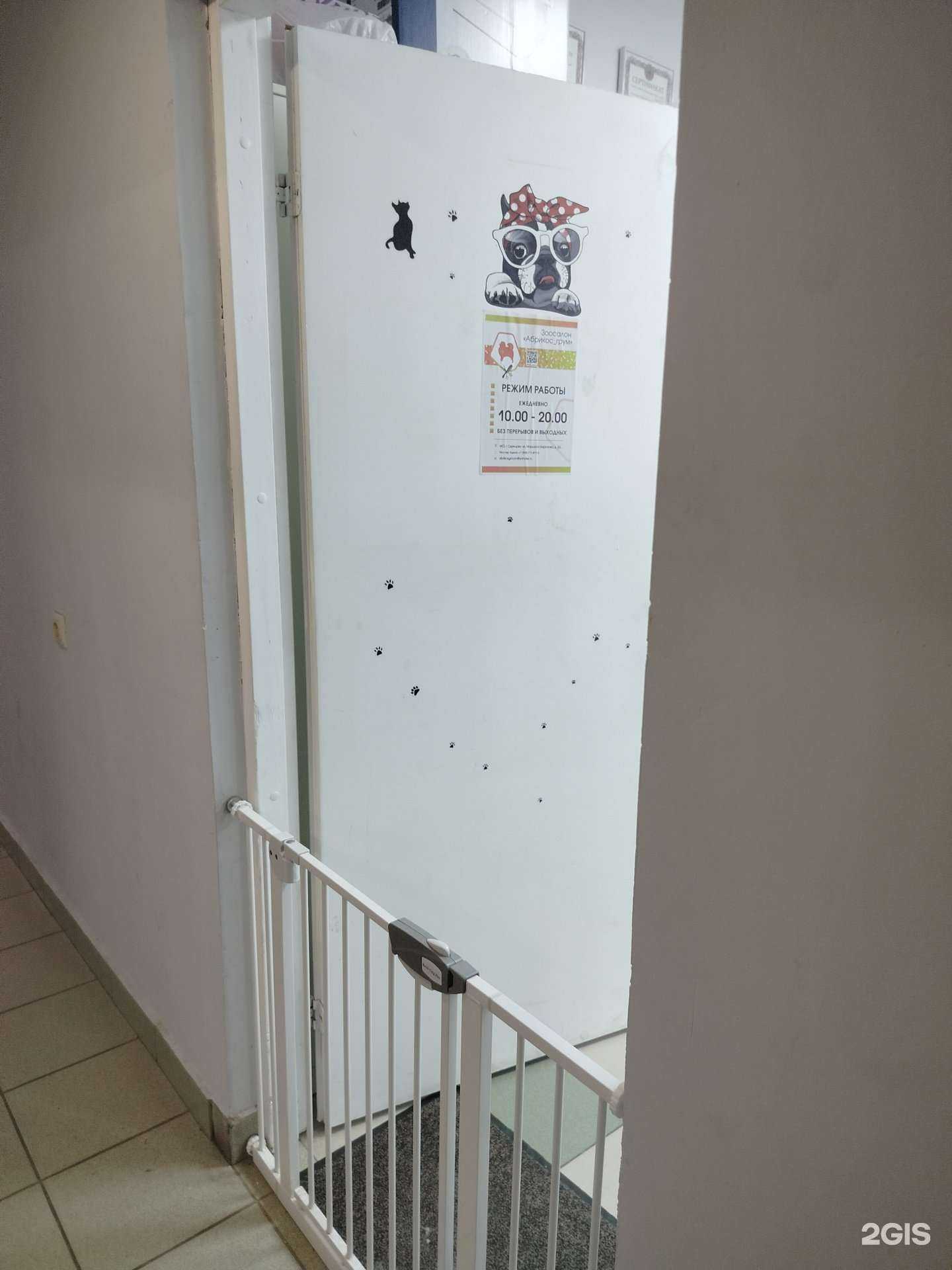 Отзывы на компанию Абрикос_грум в г. Одинцово c фото