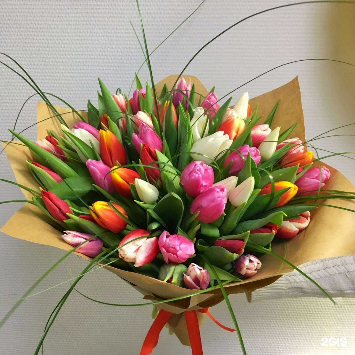 Отзывы на компанию Мальва в Омске c фото