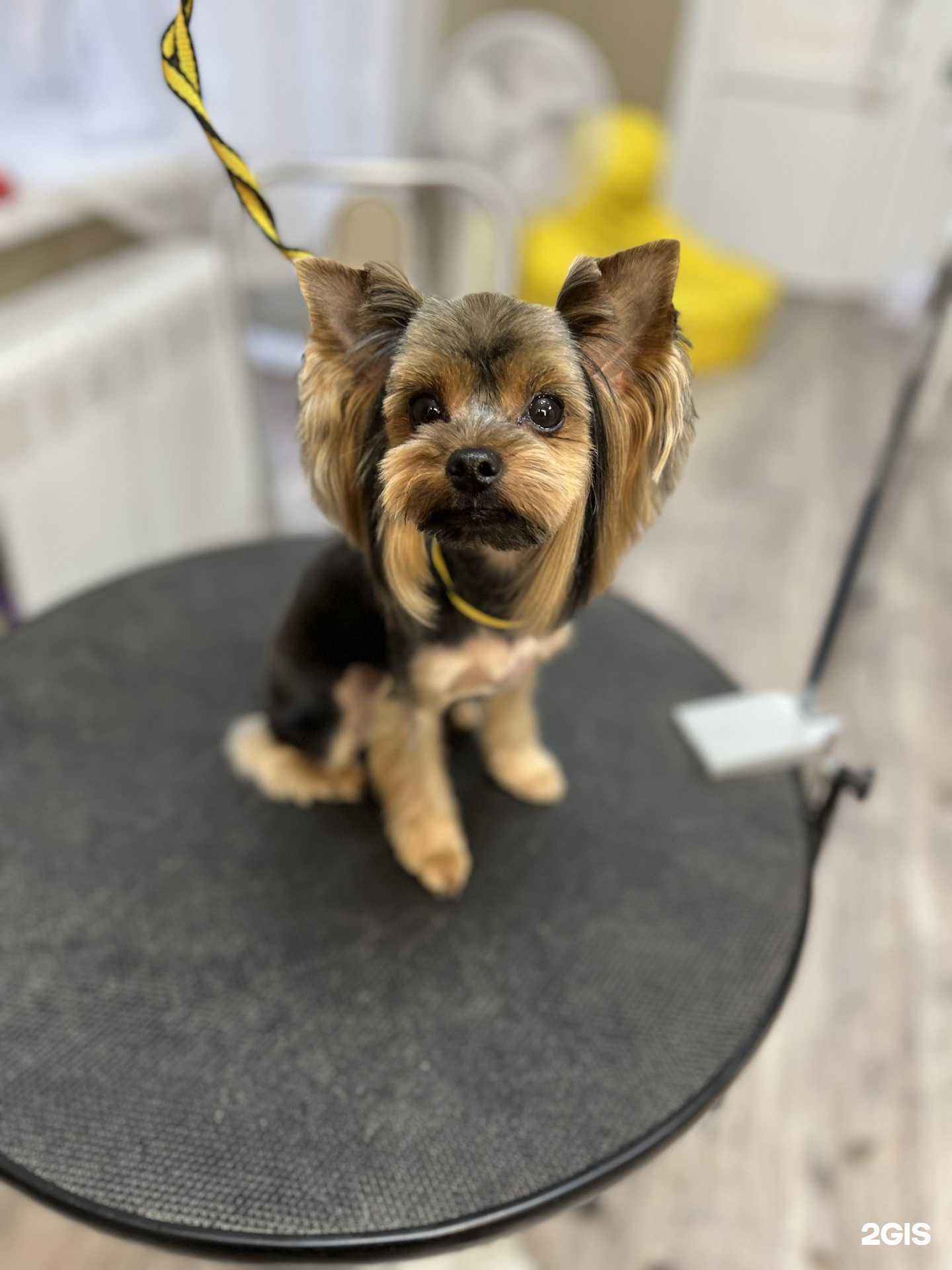 Отзывы на компанию Йорк Сити в г. Уфа c фото