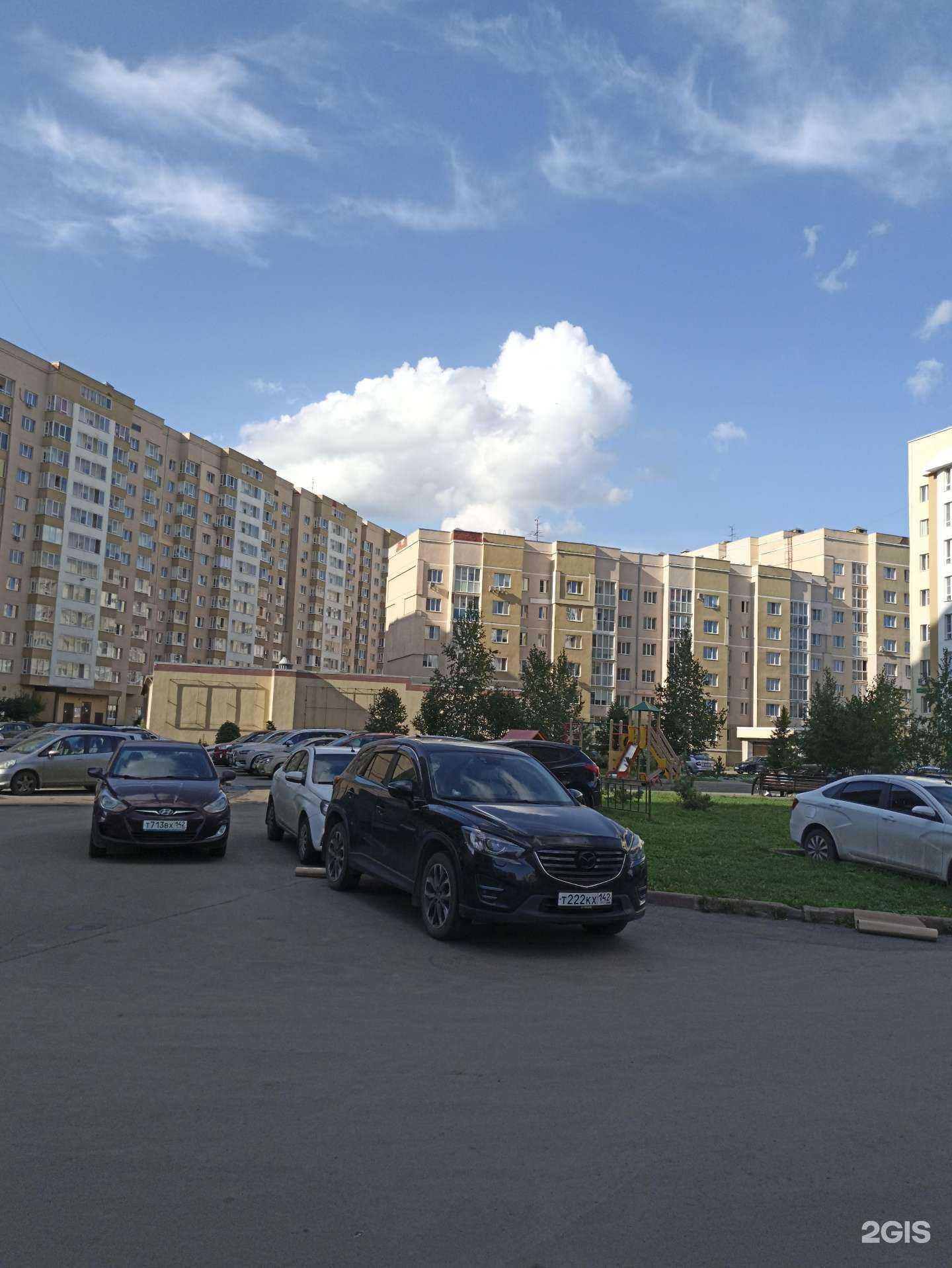 Отзывы на компанию Федерация киокушин Кузбасса в Кемерове c фото - фотография 2 из 2